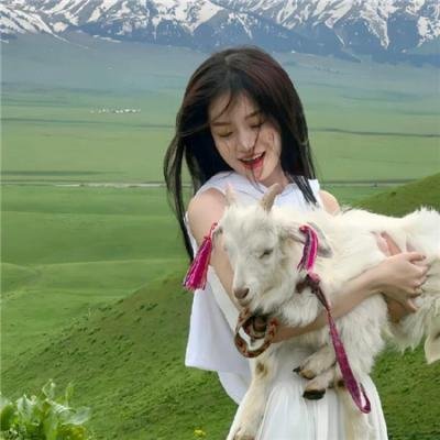 多米娜第一季